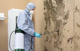 Best HVAC Mold Inspection and Cleaning  in Geneva, IL